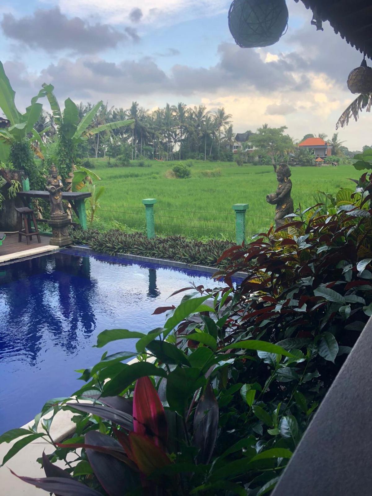 Green Paddy Hostel & Villa Ubud Exteriör bild