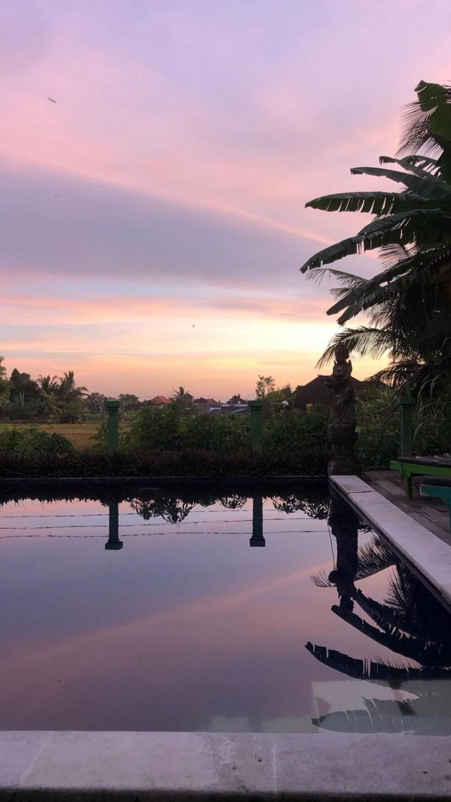 Green Paddy Hostel & Villa Ubud Exteriör bild